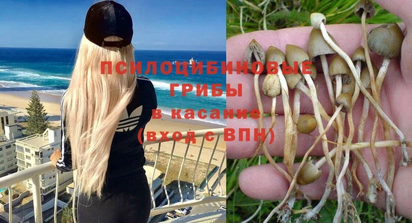 индика Аркадак