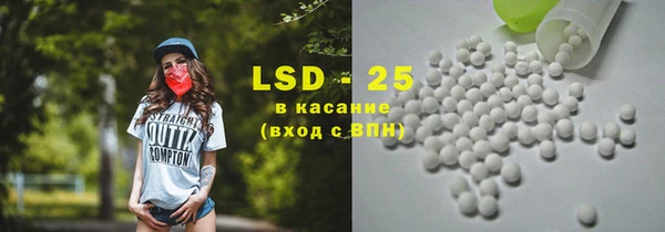 индика Аркадак