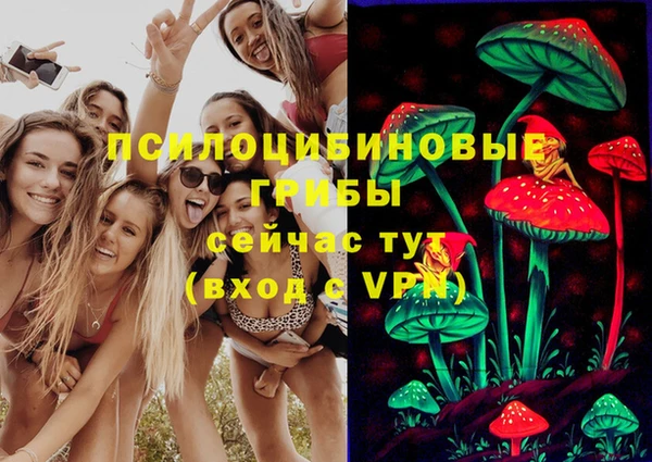Альфа ПВП Арсеньев