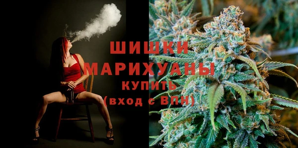 индика Аркадак
