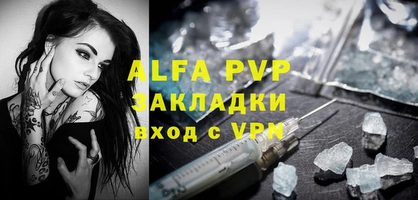 индика Аркадак
