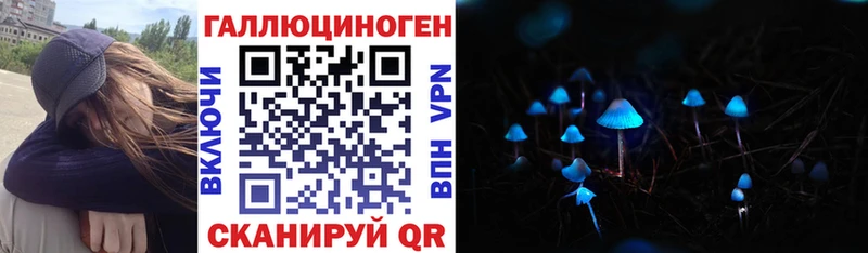 Галлюциногенные грибы Cubensis  Закаменск 